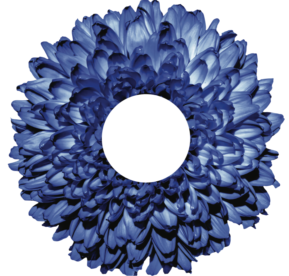 Servilletero Crisantemo Azul - Kit de 6