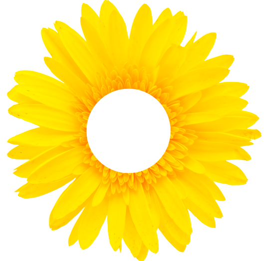 Servilletero Gerbera Amarilla - Kit de 6