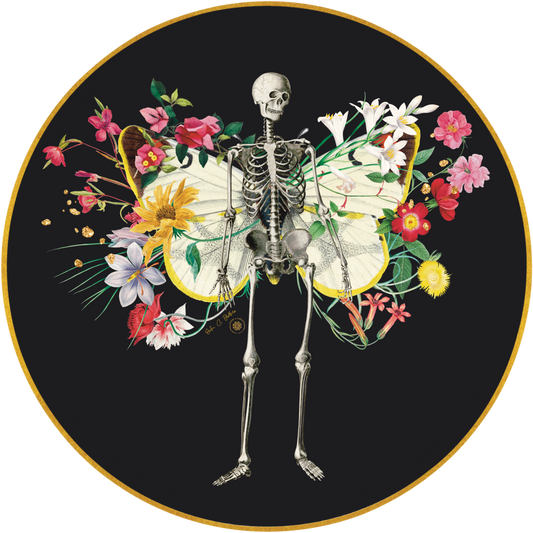 Calavera- Mariposa - Kit de 6 -Print colaboración Ecbrothers