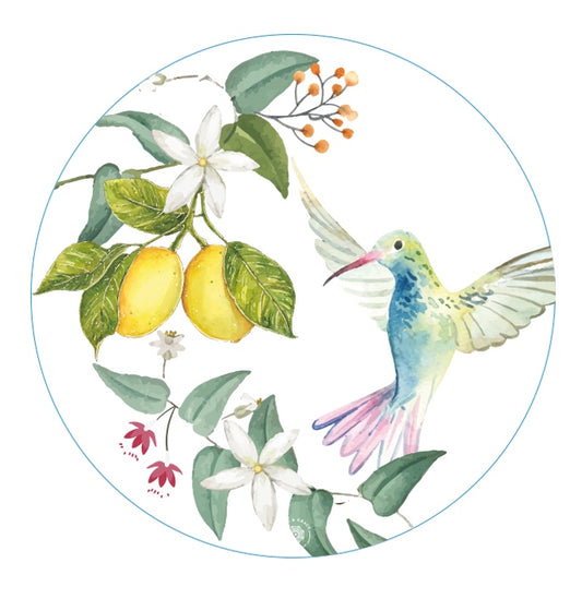 Portavaso Limones Colibrí - Kit de 6