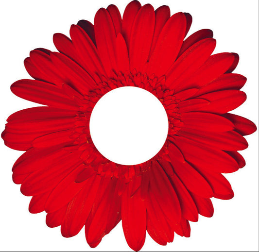 Servilletero Gerbera Roja - Kit de 6
