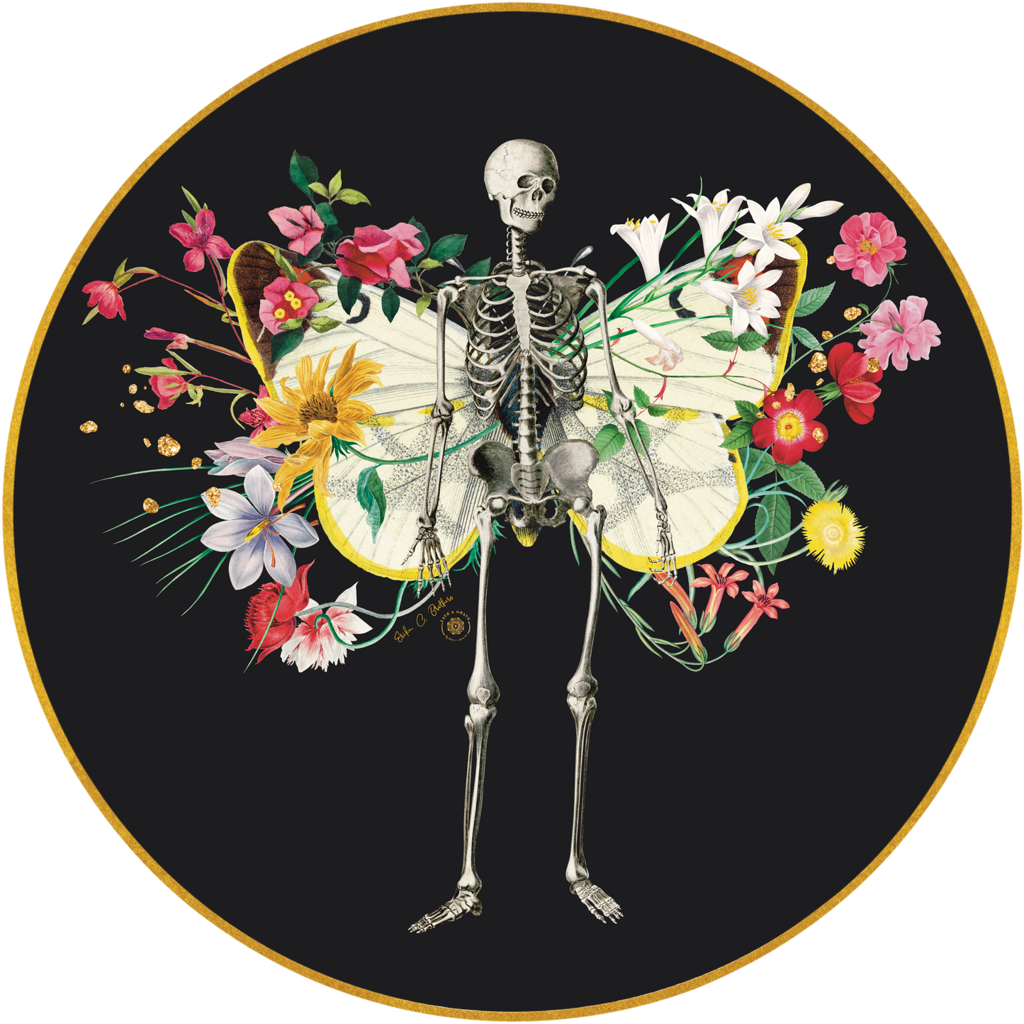 Calavera- Mariposa - Kit de 6 -Print colaboración Ecbrothers