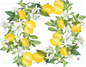 Individual Tela Impermeable -Limones  - Kit de 6